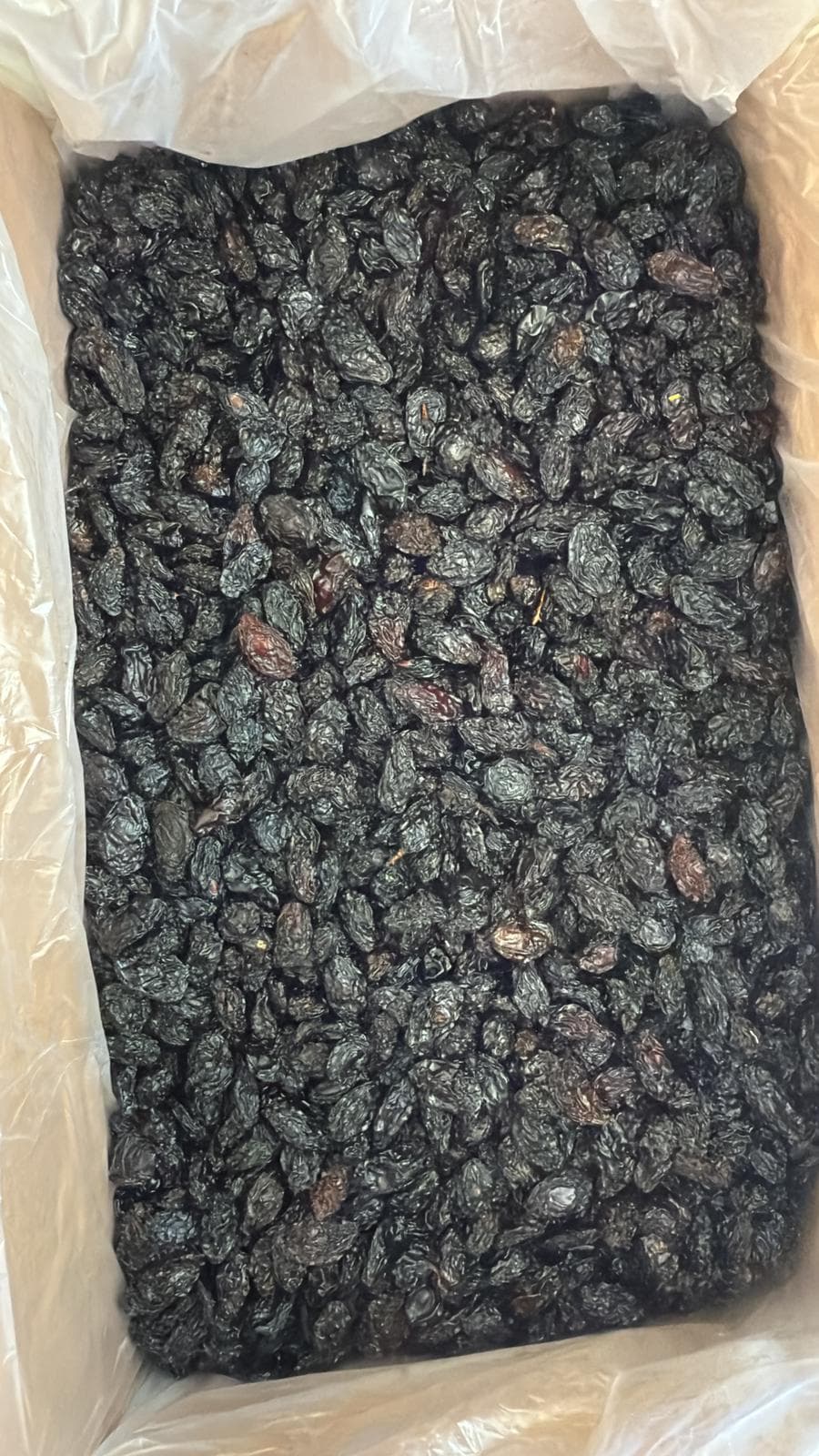 ANTEP KARASI ÇEKİRDEKLİ ÜZÜM