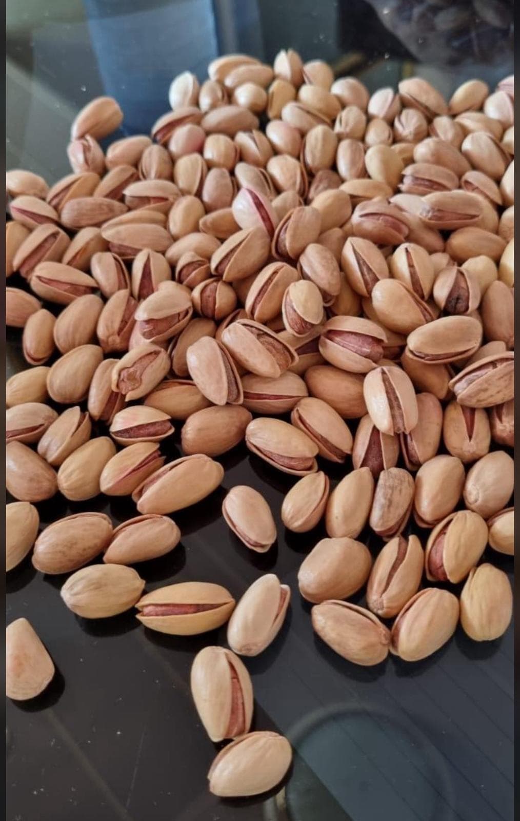 ANA ÇATLAK SİİR FISTIĞI